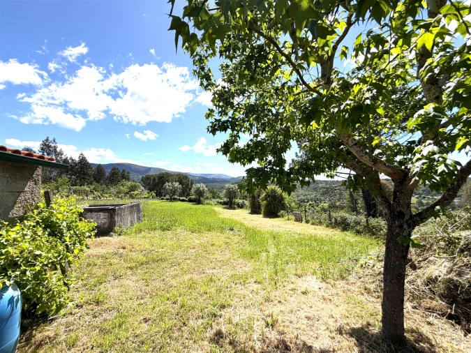 Moradia T3 para Venda em Côja e Barril de Alva Foto 31