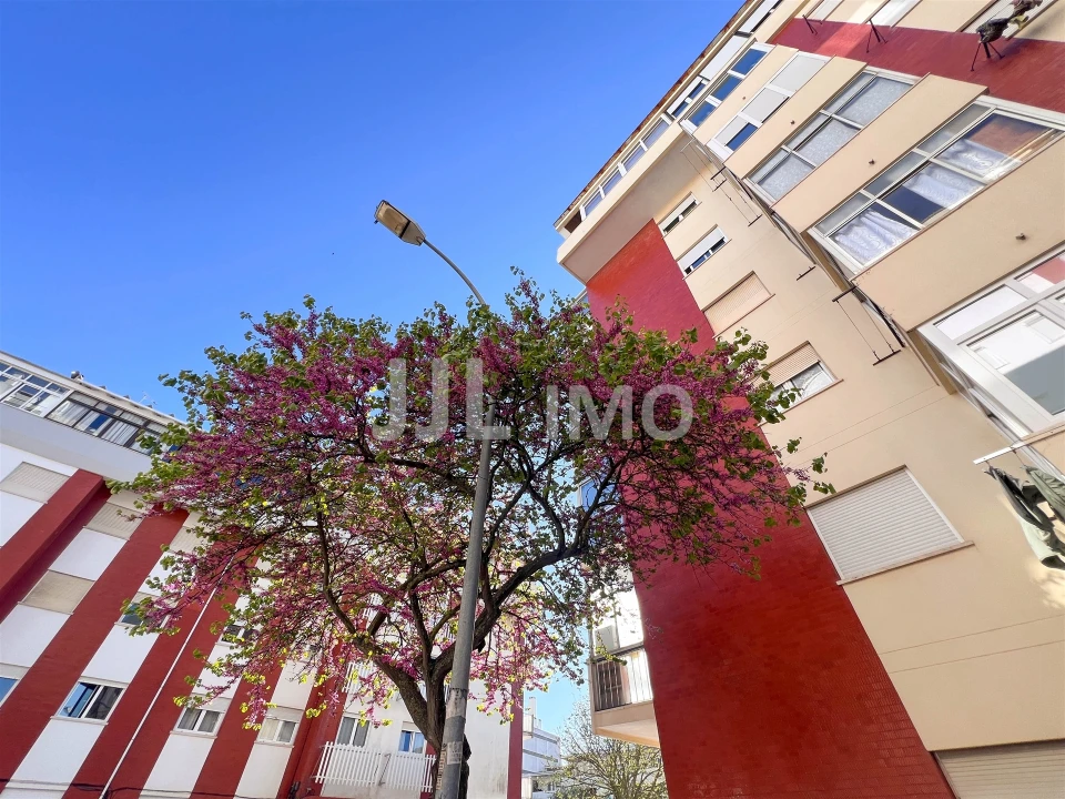 Apartamento T3 para Arrendamento em Oeiras e São Julião da Barra, Paço de Arcos e Caxias Foto 34
