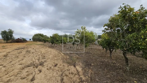 Moradia T5 para Venda em Aveiras de Cima
