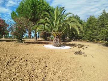 Moradia T5 para Venda em Aveiras de Cima