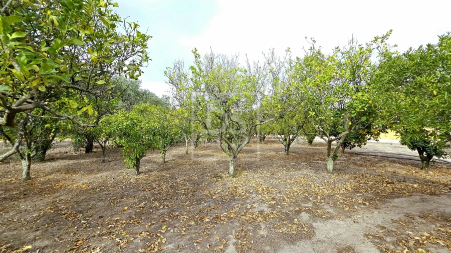 Moradia T5 para Venda em Aveiras de Cima Foto 261