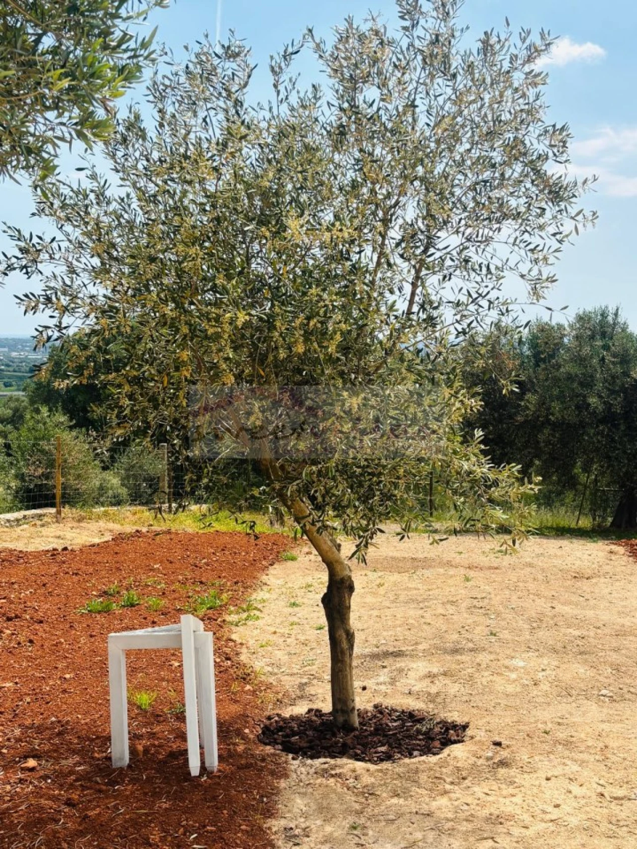 Moradia T3 para Venda em Santa Barbara de Nexe Foto 49