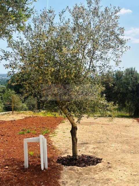 Moradia T3 para Venda em Santa Barbara de Nexe