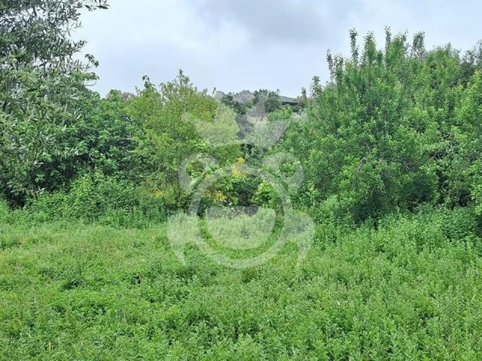 Quinta T0 para Venda em Portel Foto 11