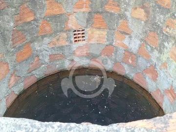 Quinta T0 para Venda em Portel