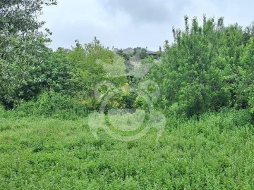 Quinta T0 para Venda em Portel