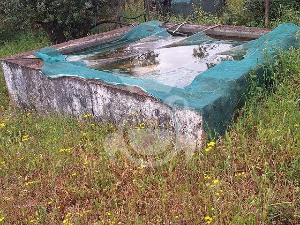 Quinta T0 para Venda em Portel Foto 9