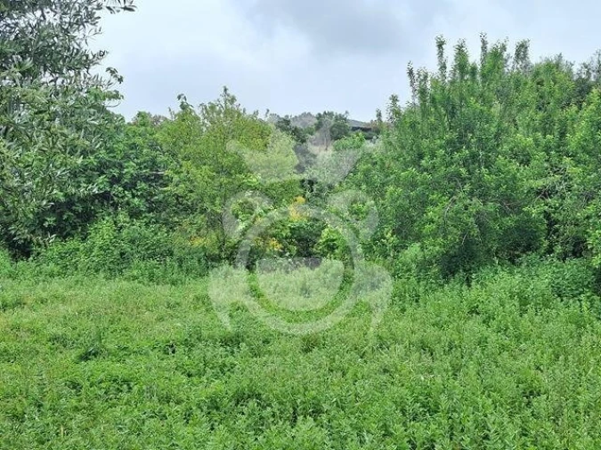 Quinta T0 para Venda em Portel Foto 11