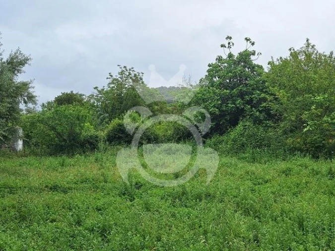 Quinta T0 para Venda em Portel Foto 15