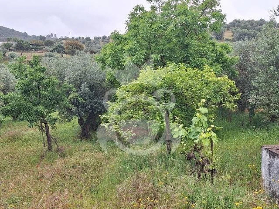 Quinta T0 para Venda em Portel Foto 10