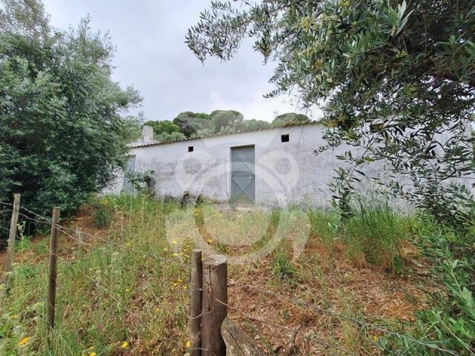 Quinta T0 para Venda em Portel Foto 1