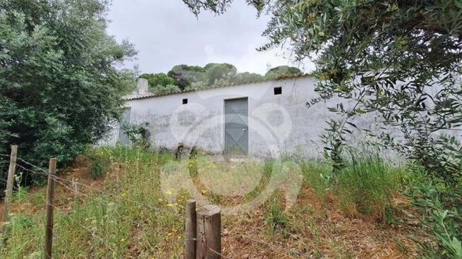 Quinta T0 para Venda em Portel