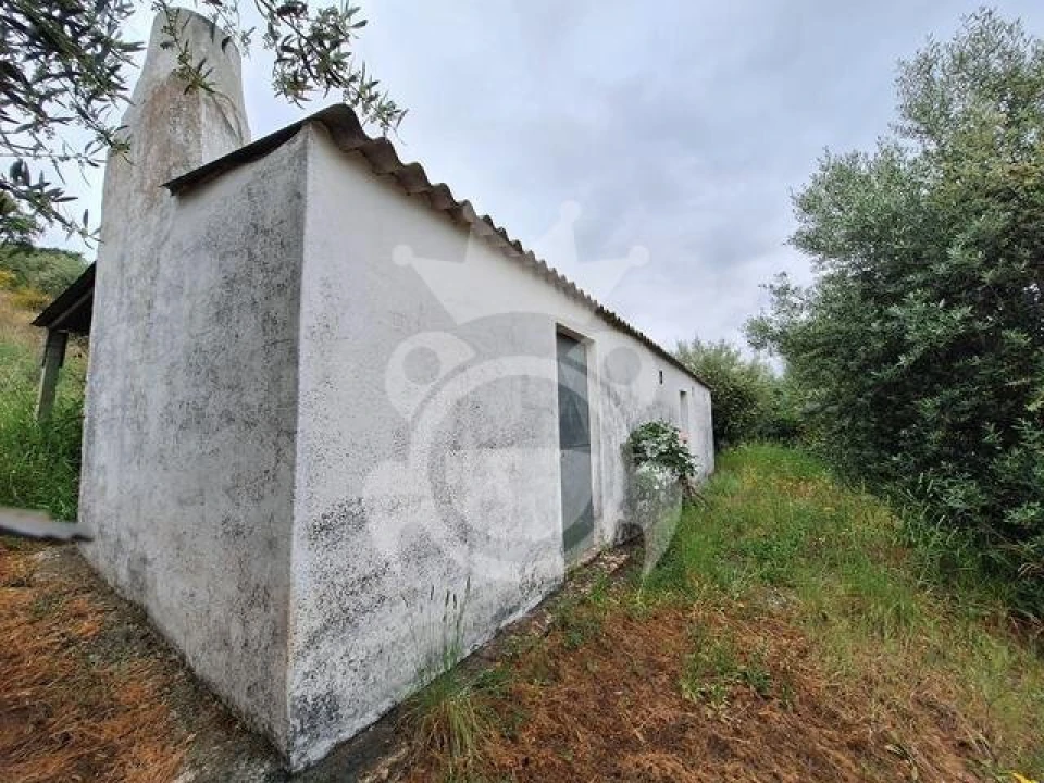 Quinta T0 para Venda em Portel Foto 3