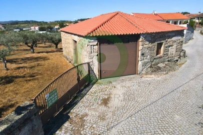 Terreno para Venda em São Pedro Velho