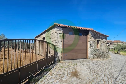 Terreno para Venda em São Pedro Velho