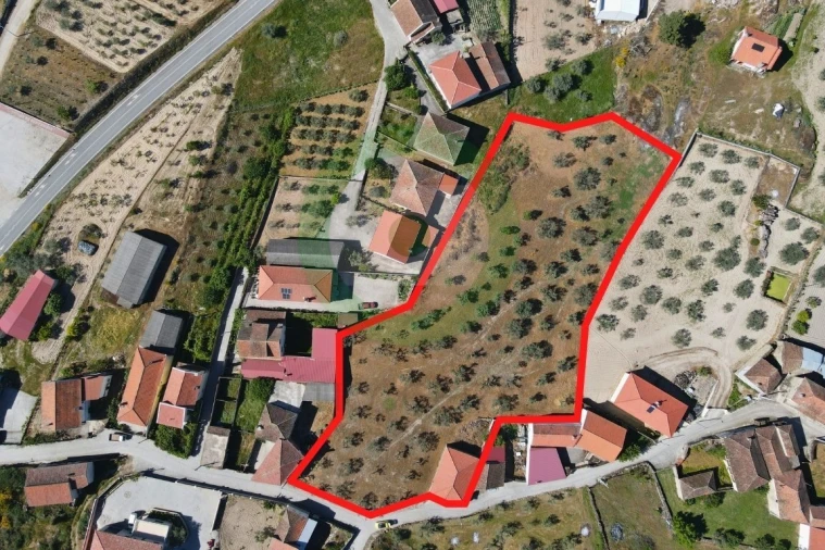 Terreno para Venda em São Pedro Velho Foto 4