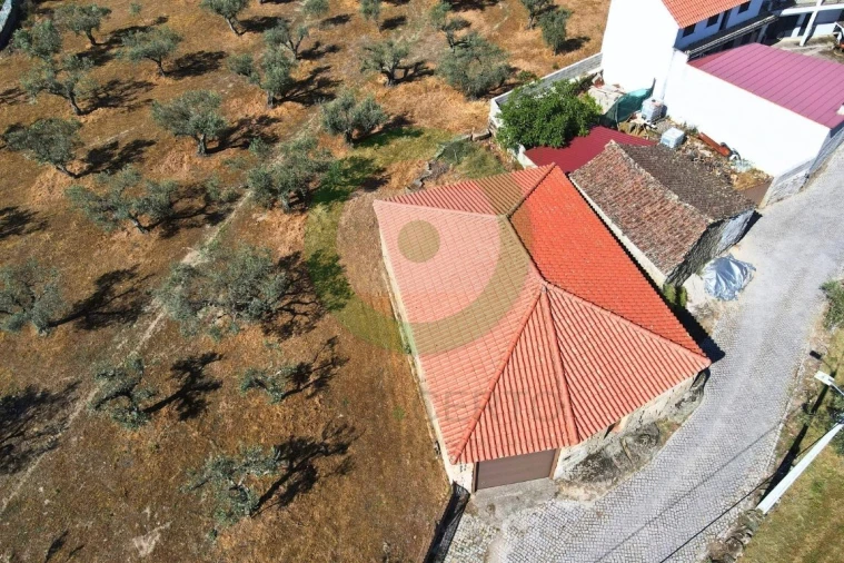 Terreno para Venda em São Pedro Velho Foto 2