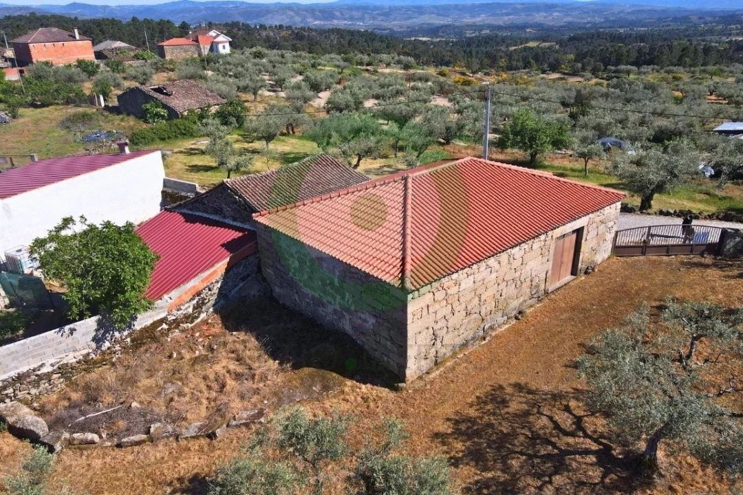 Terreno para Venda em São Pedro Velho Foto 3