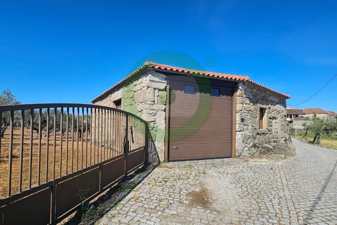 Terreno para Venda em São Pedro Velho Foto 7