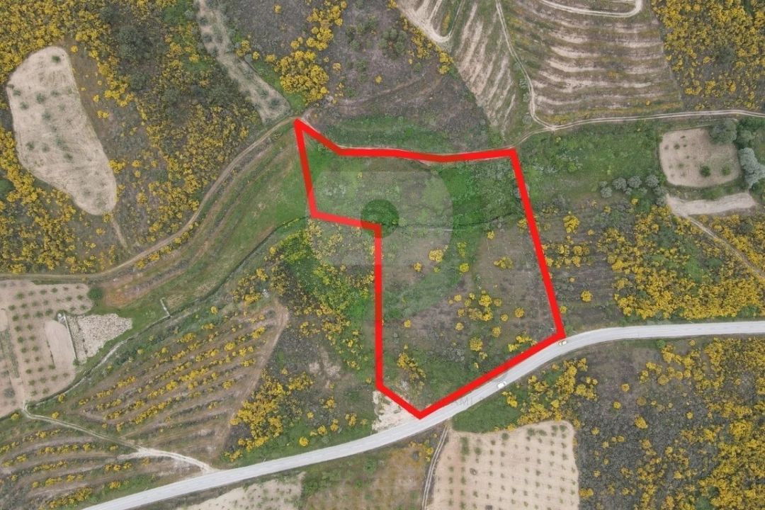 Terreno para Venda em Veiga de Lila Foto 1