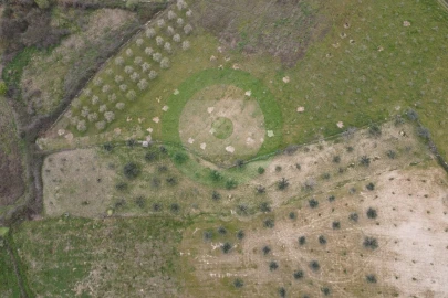 Terreno para Venda em Fornos do Pinhal