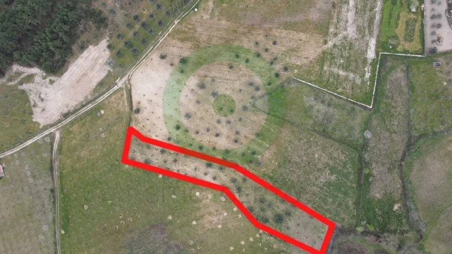 Terreno para Venda em Fornos do Pinhal