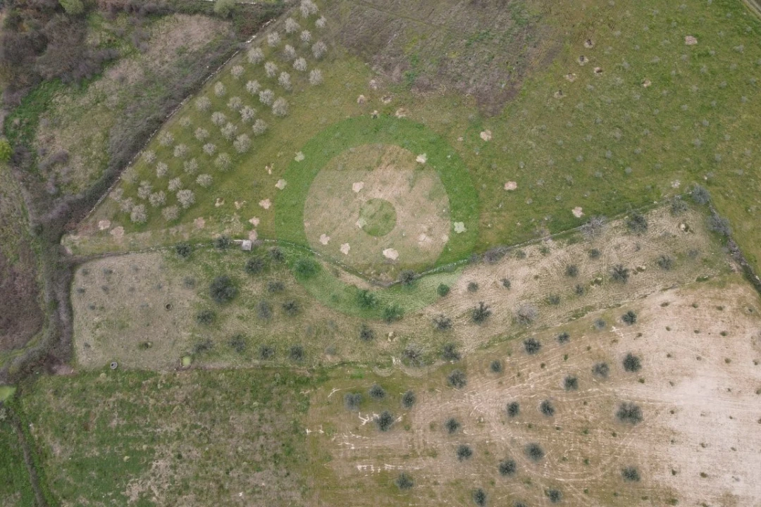 Terreno para Venda em Fornos do Pinhal Foto 2