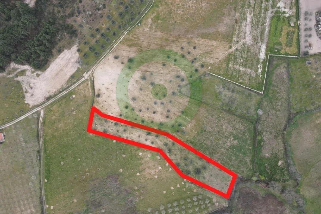 Terreno para Venda em Fornos do Pinhal Foto 1