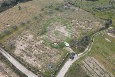 Terreno para Venda em Fornos do Pinhal