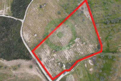 Terreno para Venda em Fornos do Pinhal