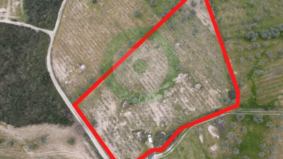 Terreno para Venda em Fornos do Pinhal
