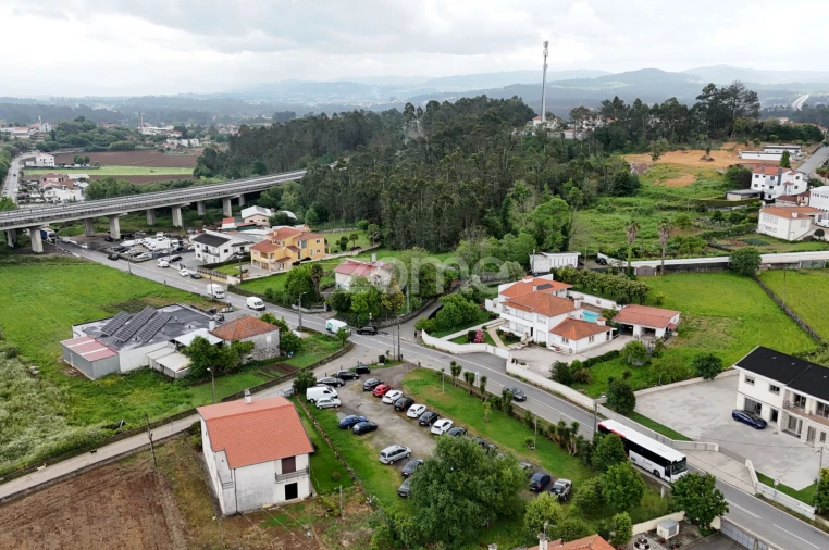 Terreno para Venda em Tamel (Santa Leocádia) e Vilar do Monte Foto 9