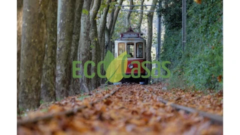 Moradia T4 para Venda em Colares
