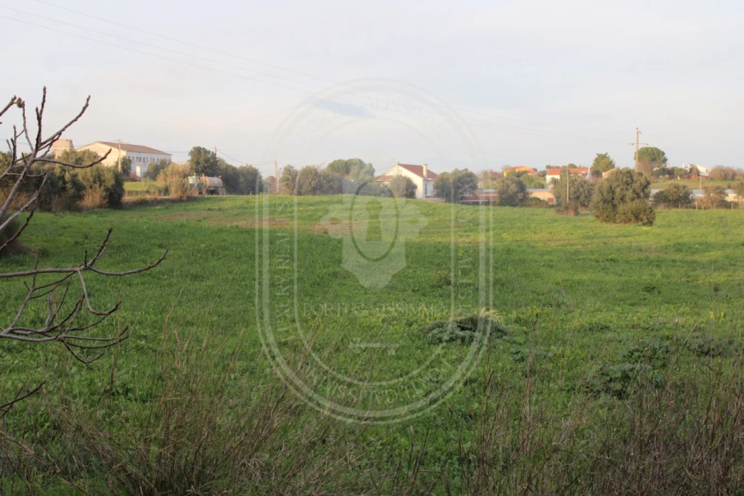 Terreno para Venda em Madalena e Beselga Foto 8