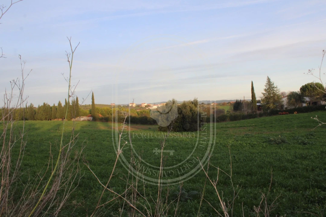 Terreno para Venda em Madalena e Beselga Foto 27