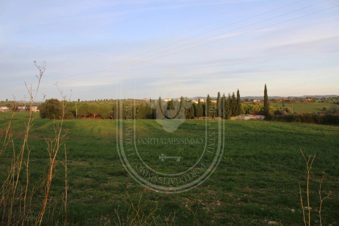Terreno para Venda em Madalena e Beselga Foto 29