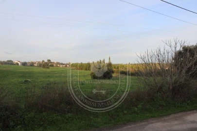 Terreno para Venda em Madalena e Beselga