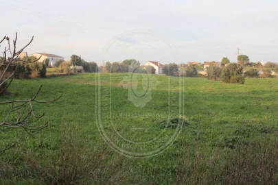 Terreno para Venda em Madalena e Beselga