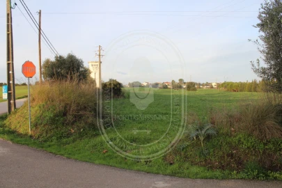 Terreno para Venda em Madalena e Beselga