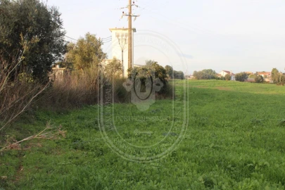 Terreno para Venda em Madalena e Beselga
