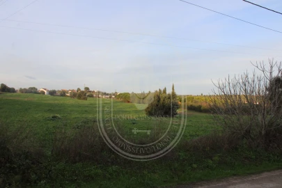 Terreno para Venda em Madalena e Beselga