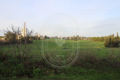 Terreno para Venda em Madalena e Beselga
