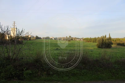 Terreno para Venda em Madalena e Beselga