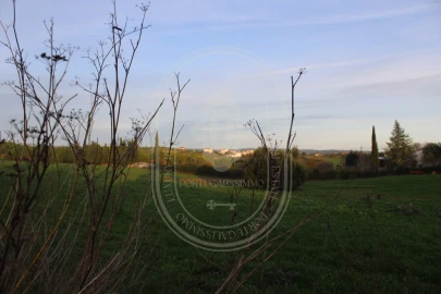 Terreno para Venda em Madalena e Beselga