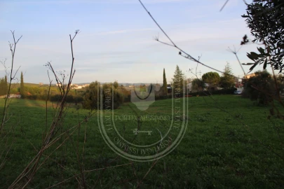 Terreno para Venda em Madalena e Beselga