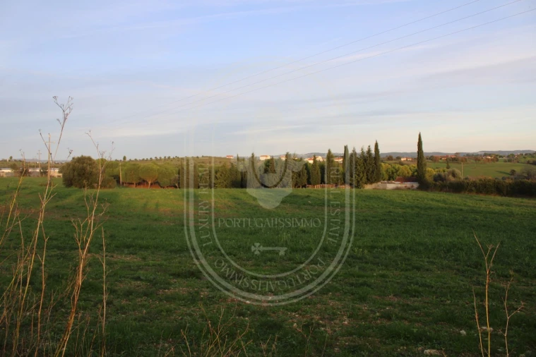 Terreno para Venda em Madalena e Beselga Foto 29