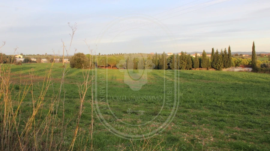Terreno para Venda em Madalena e Beselga
