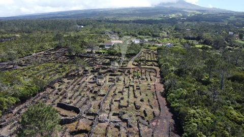 Terreno para Venda em Bandeiras