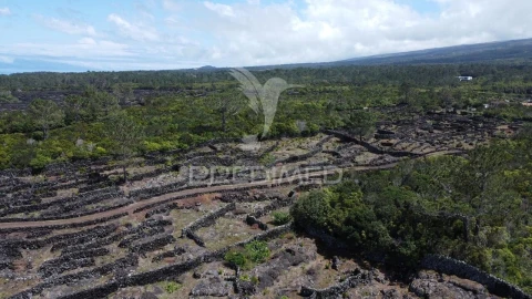 Terreno para Venda em Bandeiras