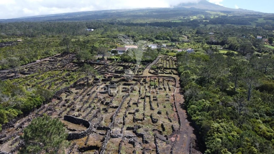 Terreno para Venda em Bandeiras Foto 7